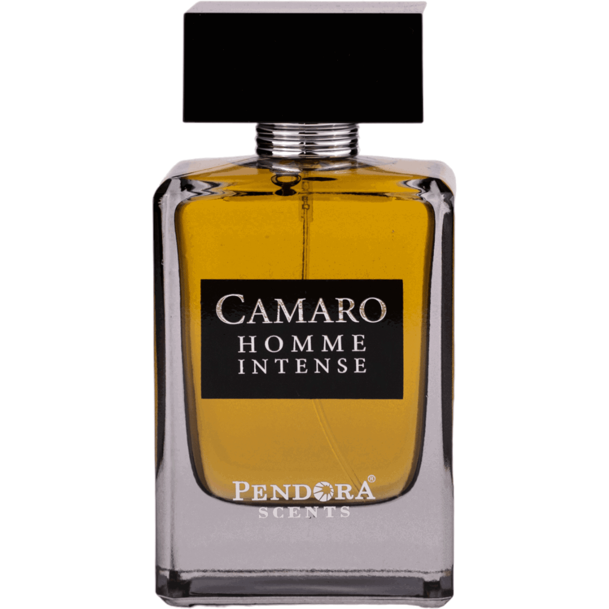Pendora Scents, Camaro Homme Intense, Eau De Parfum, For Men, 100 ml